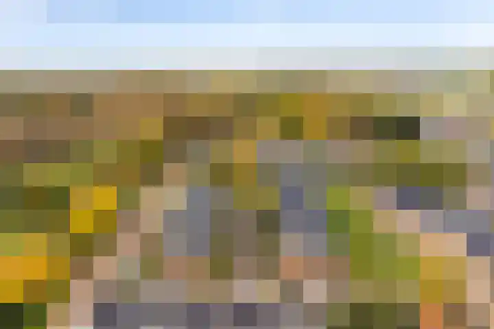 De Kweek 2 Veenendaal thumbnail 49
