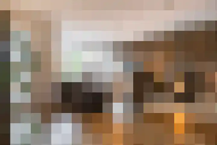 De Kweek 2 Veenendaal thumbnail 5