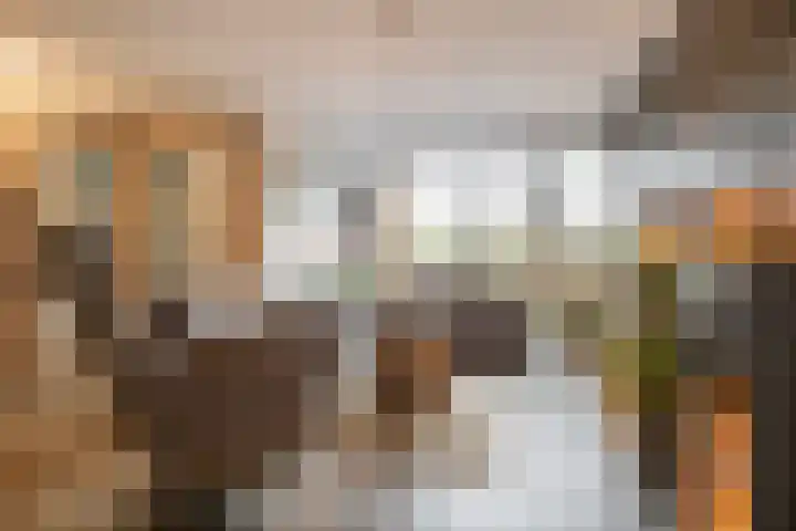De Kweek 2 Veenendaal thumbnail 6