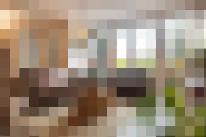 De Kweek 2 Veenendaal thumbnail 7