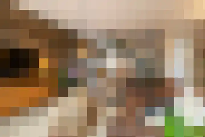 De Kweek 2 Veenendaal thumbnail 8