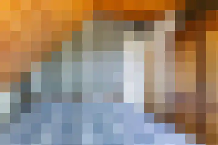 De Kweek 23 Lunteren thumbnail 22
