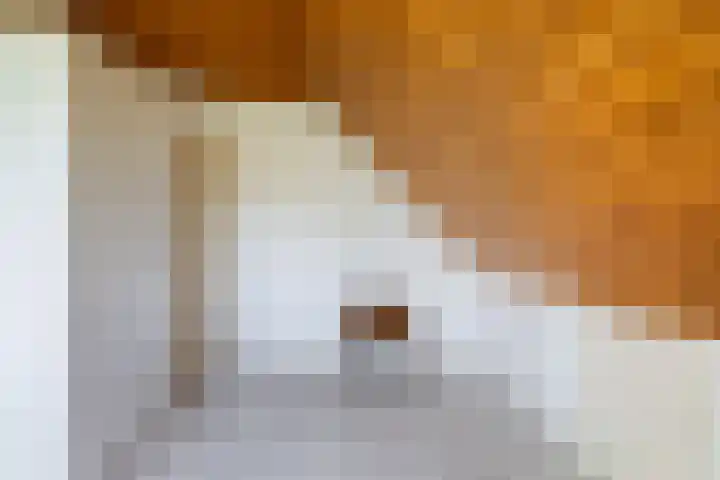 De Kweek 23 Lunteren thumbnail 24