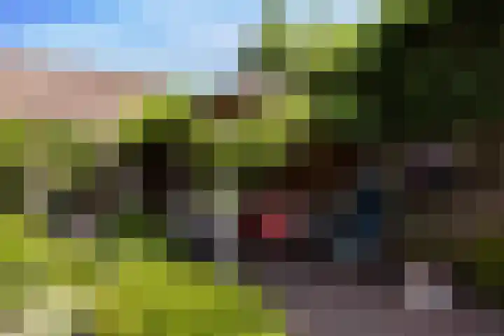 De Kweek 23 Lunteren thumbnail 25