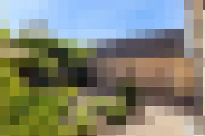 De Kweek 23 Lunteren thumbnail 26