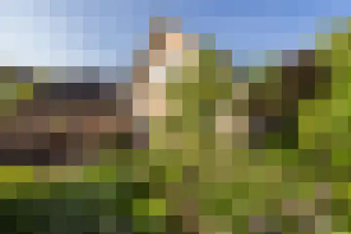 De Kweek 23 Lunteren thumbnail 27