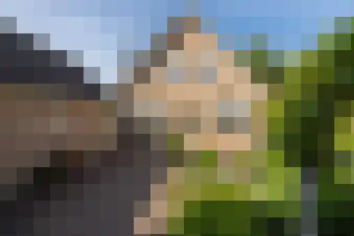 De Kweek 23 Lunteren thumbnail 28