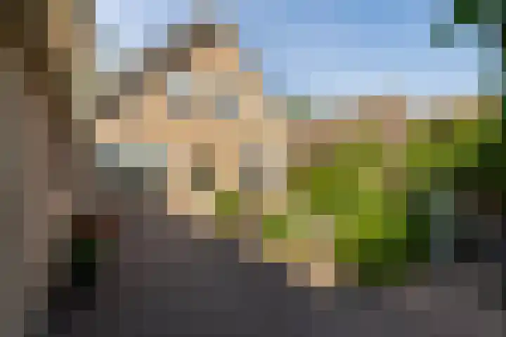 De Kweek 23 Lunteren thumbnail 29