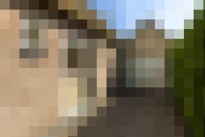 De Kweek 23 Lunteren thumbnail 30