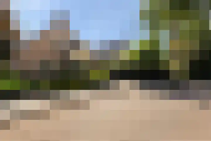 De Kweek 23 Lunteren thumbnail 33