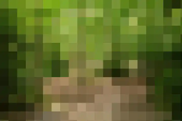De Kweek 23 Lunteren thumbnail 34