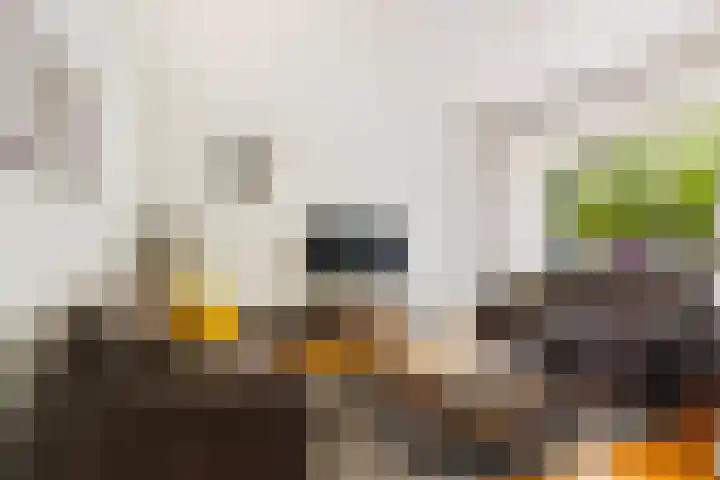 De Kweek 23 Lunteren thumbnail 5