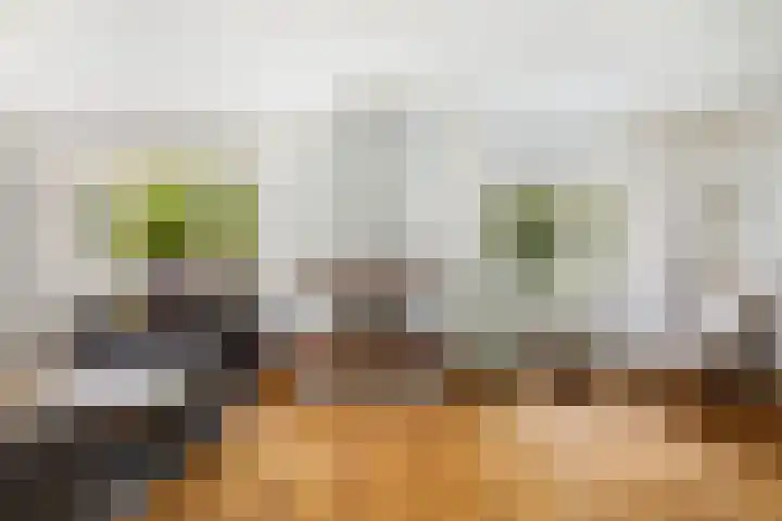 De Kweek 23 Lunteren thumbnail 7