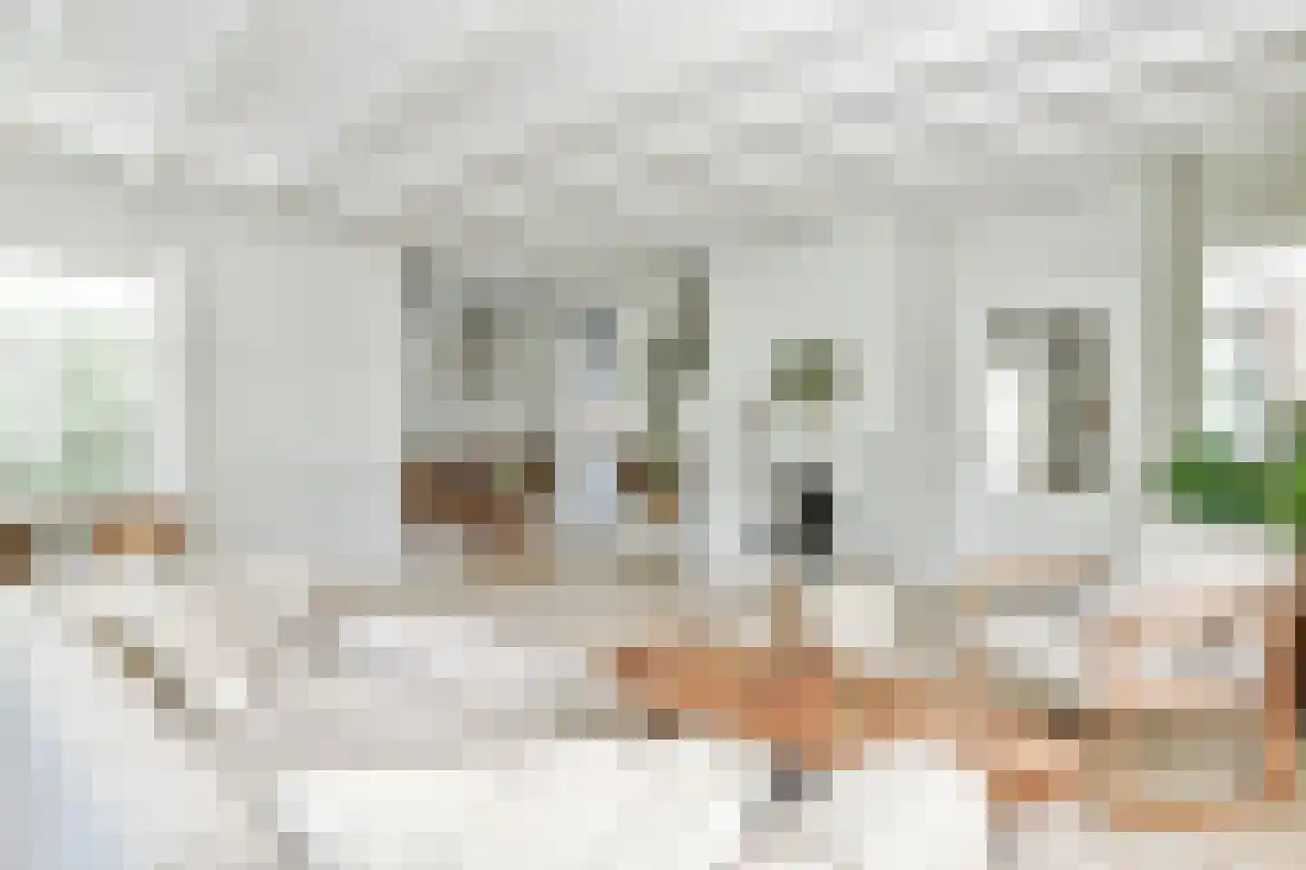 De Kwekerij 1 Laren thumbnail 10