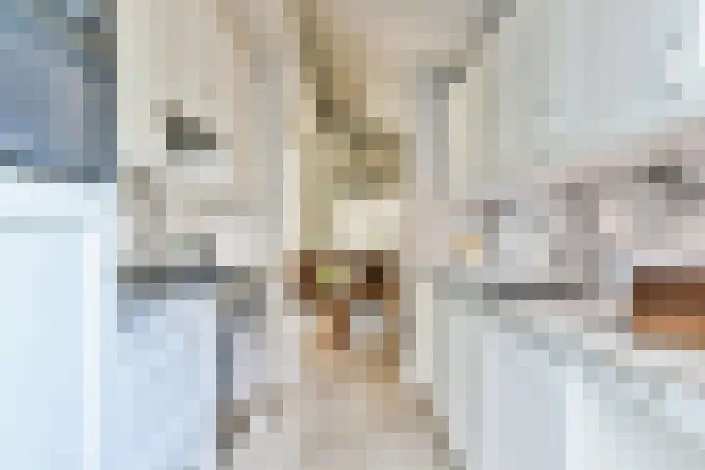 De Kwekerij 1 Laren thumbnail 19