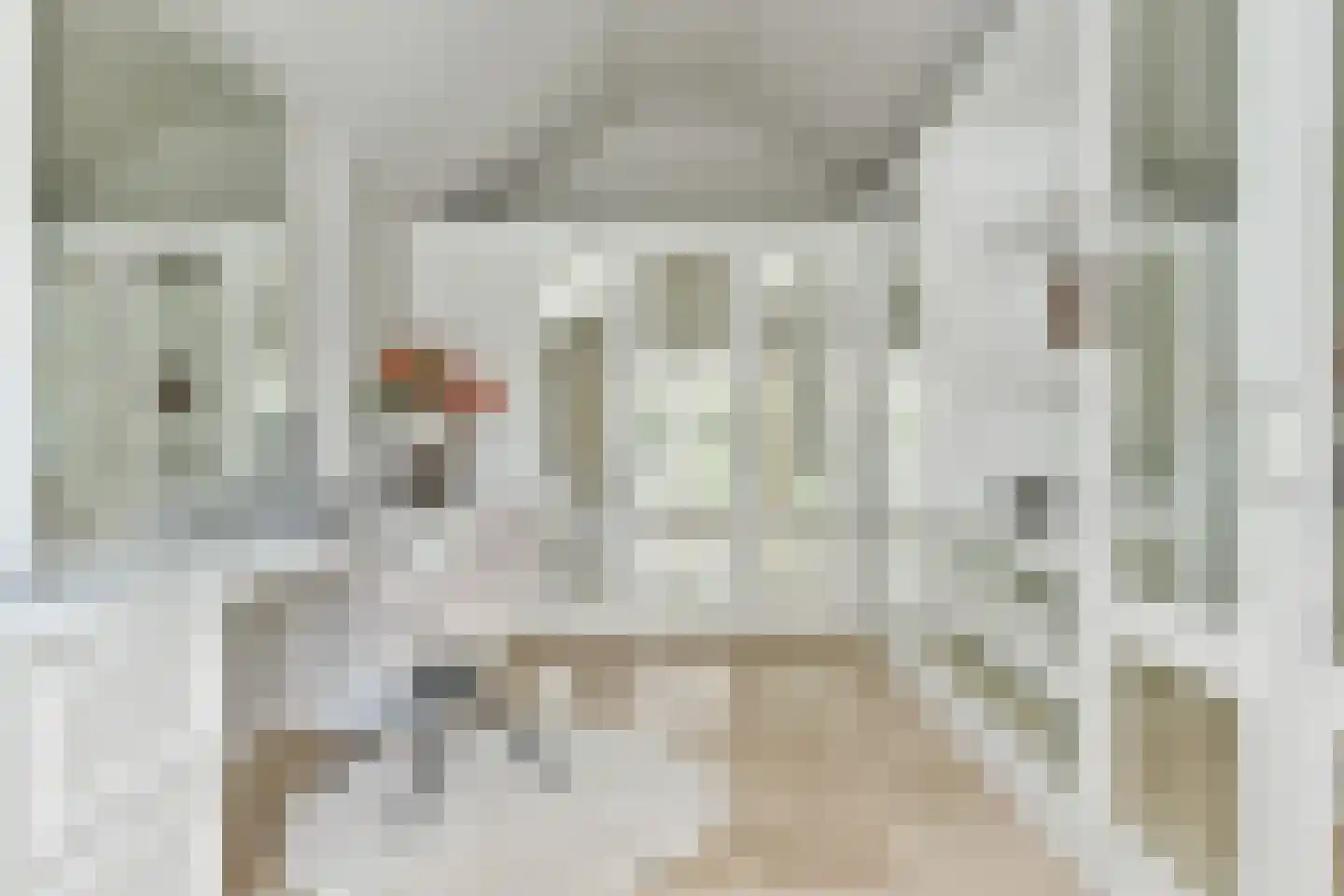 De Kwekerij 1 Laren thumbnail 30