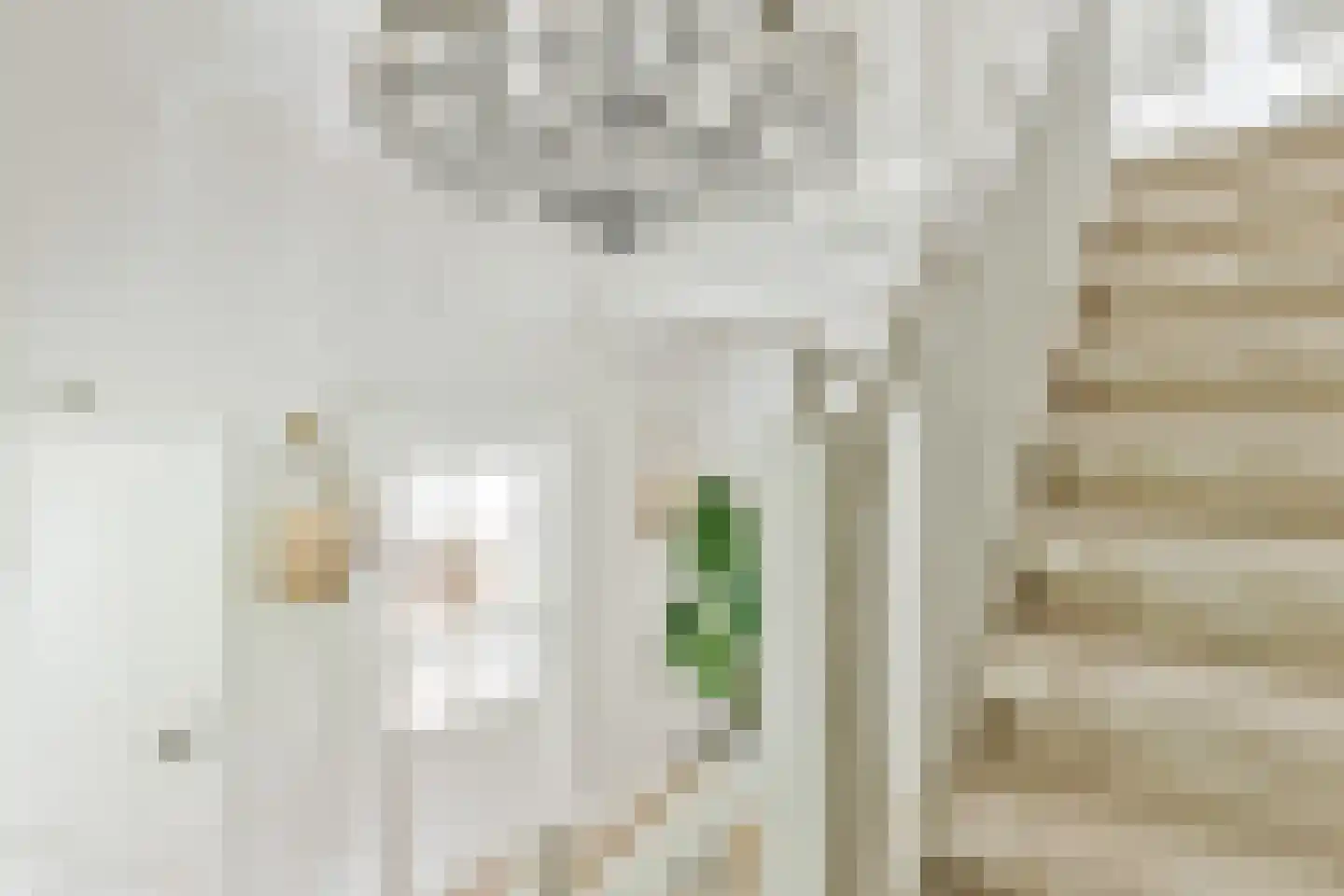 De Kwekerij 1 Laren thumbnail 32