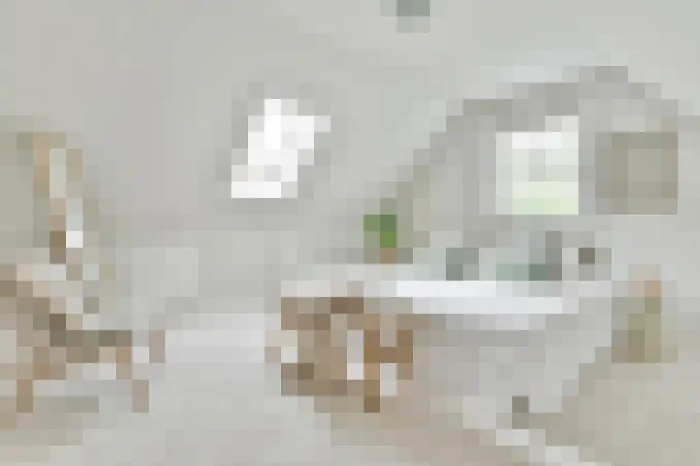 De Kwekerij 1 Laren thumbnail 39