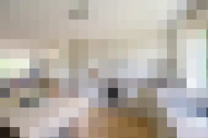 De Kwekerij 10 Laren thumbnail 6