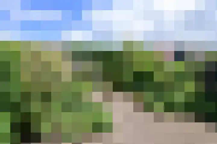 De Kwekerij 10 Laren thumbnail 9