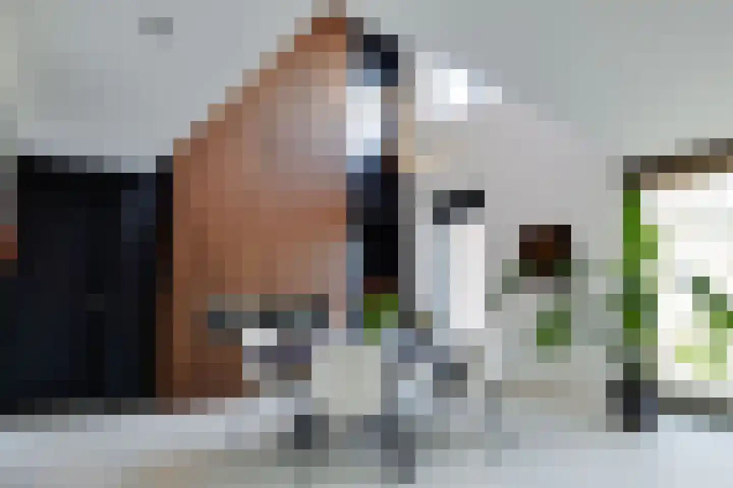De Kwekerij 27 Apeldoorn thumbnail 11