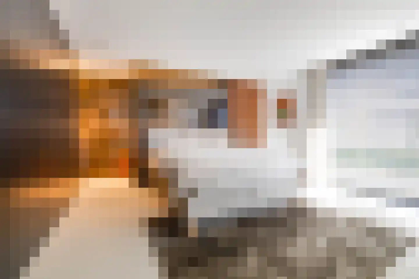 De Kwekerij 27 Apeldoorn thumbnail 18