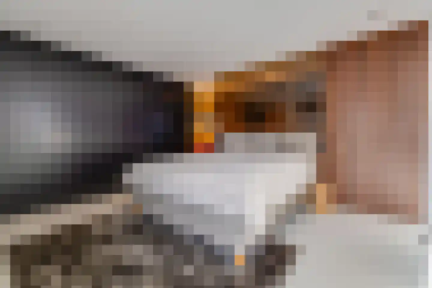 De Kwekerij 27 Apeldoorn thumbnail 20
