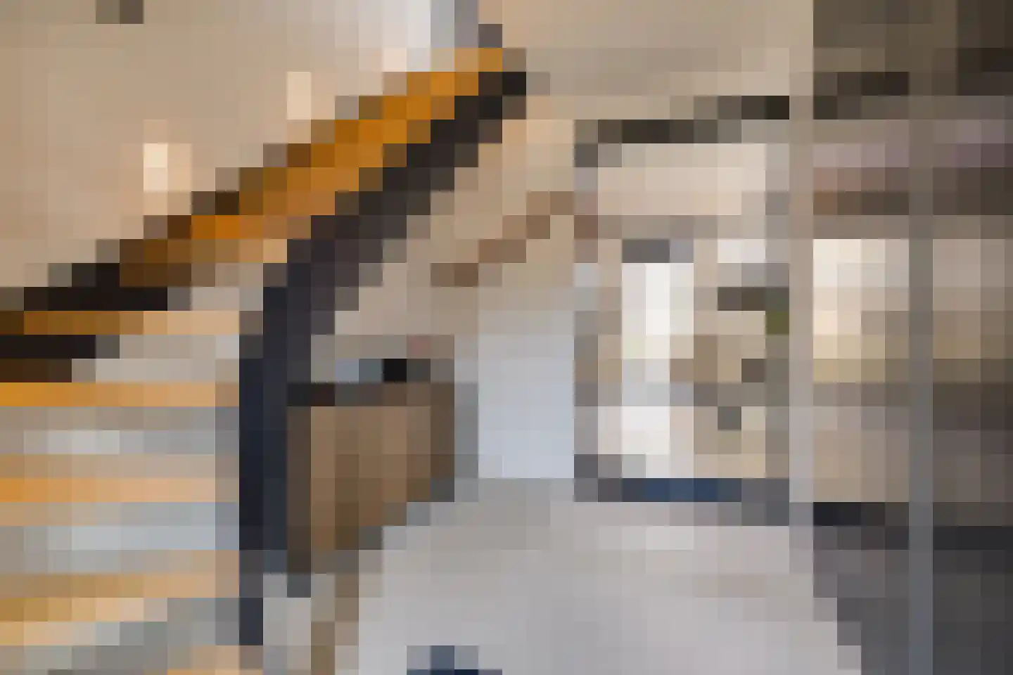 De Kwekerij 27 Apeldoorn thumbnail 24