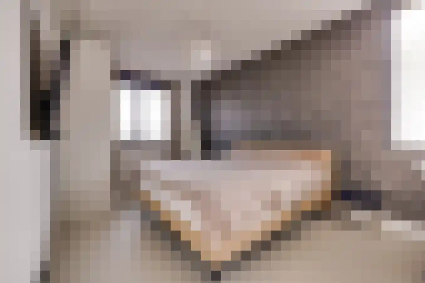 De Kwekerij 27 Apeldoorn thumbnail 27
