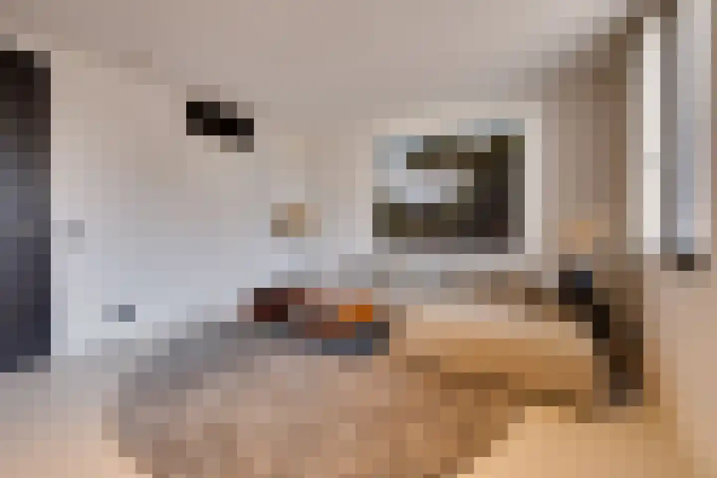 De Kwekerij 27 Apeldoorn thumbnail 31