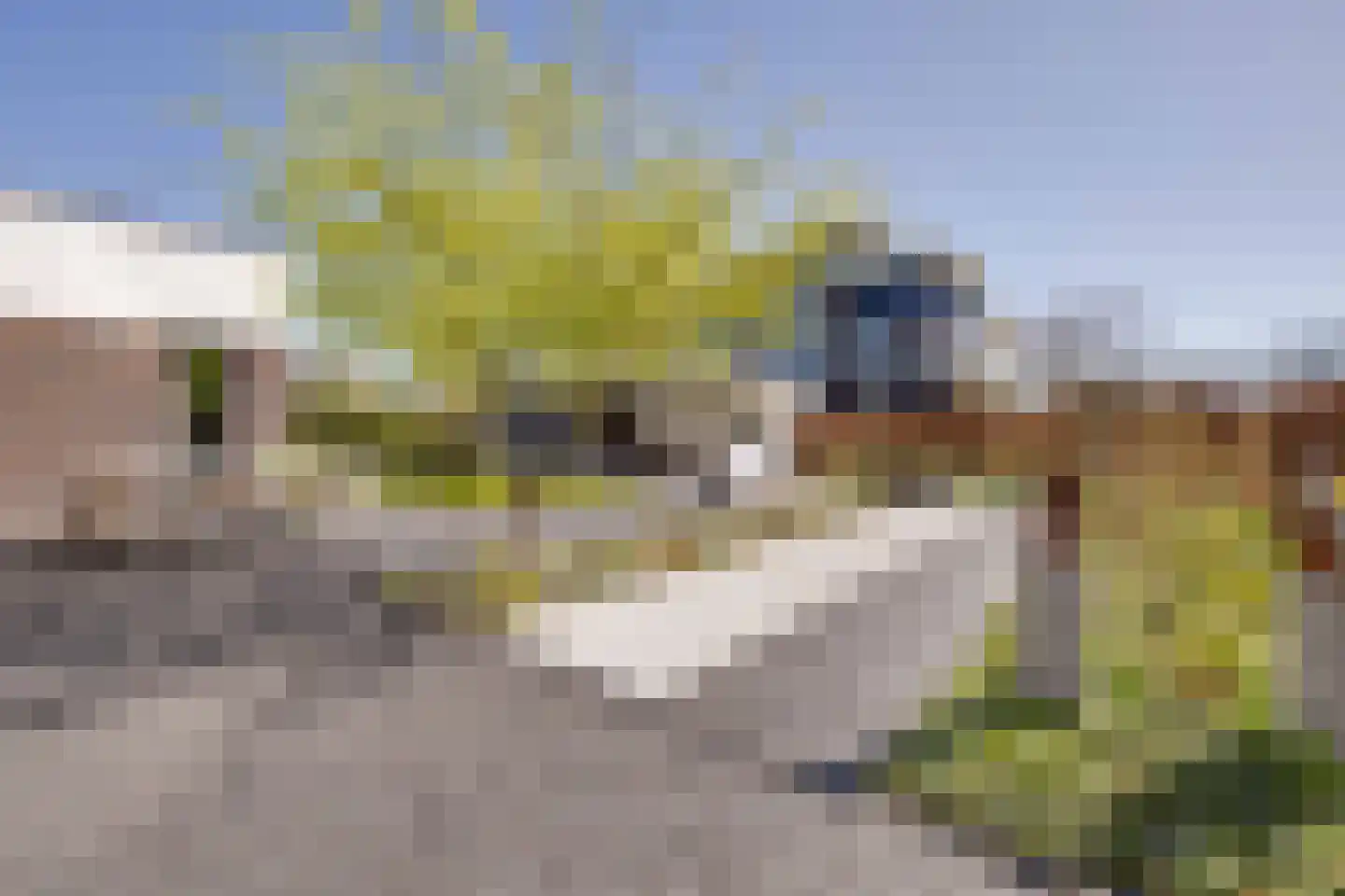 De Kwekerij 27 Apeldoorn thumbnail 40