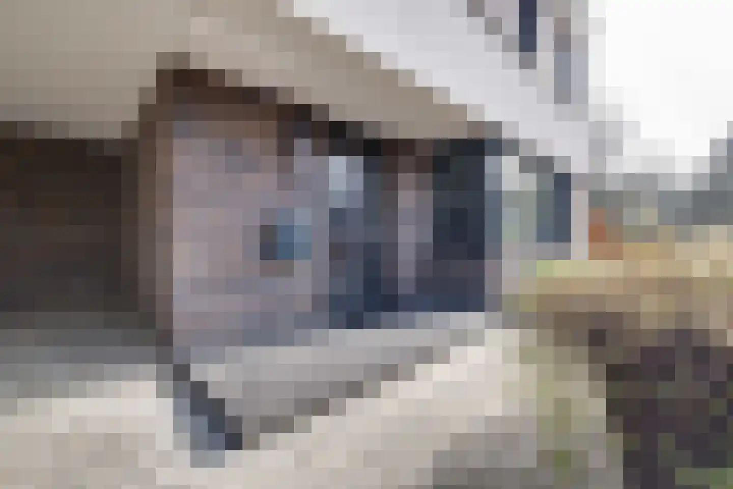De Kwekerij 27 Apeldoorn thumbnail 49