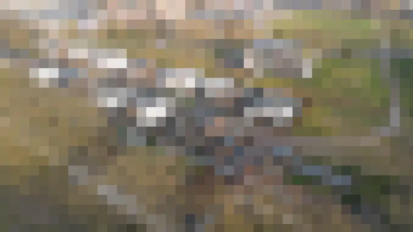 De Kwekerij 27 Apeldoorn thumbnail 56