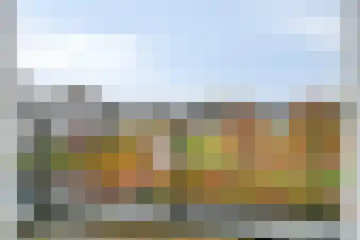 De Kwekerij 49 Maarssen thumbnail 11