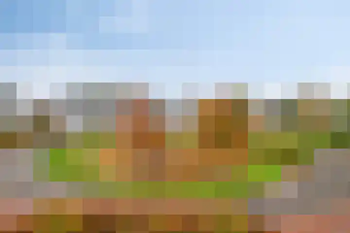 De Kwekerij 49 Maarssen thumbnail 12