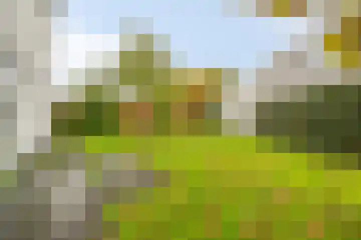 De Kwekerij 49 Maarssen thumbnail 27
