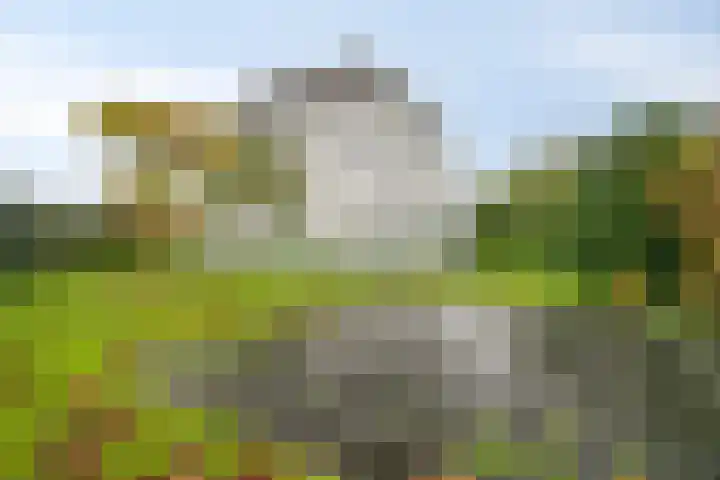 De Kwekerij 49 Maarssen thumbnail 28