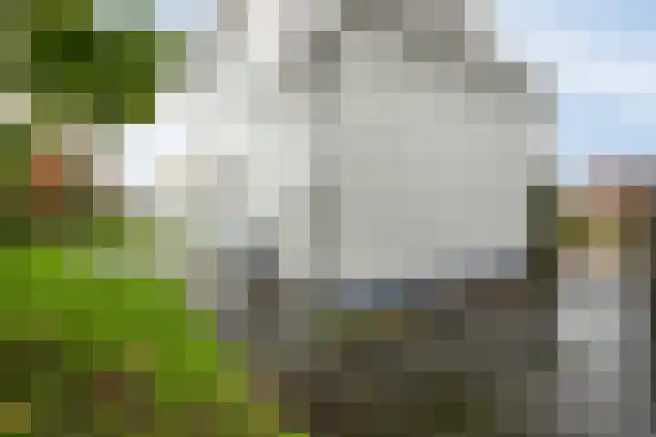 De Kwekerij 49 Maarssen thumbnail 29