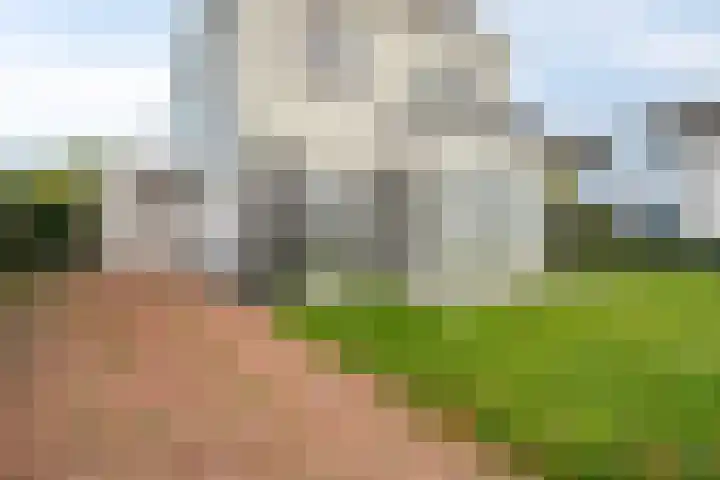 De Kwekerij 49 Maarssen thumbnail 30