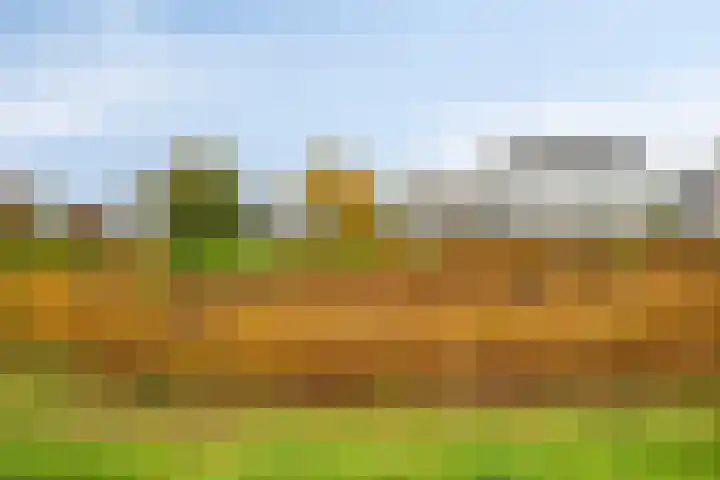 De Kwekerij 49 Maarssen thumbnail 32