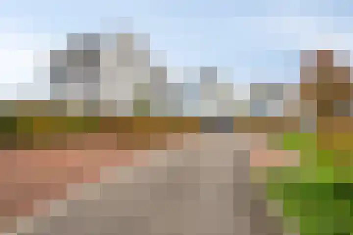 De Kwekerij 49 Maarssen thumbnail 34