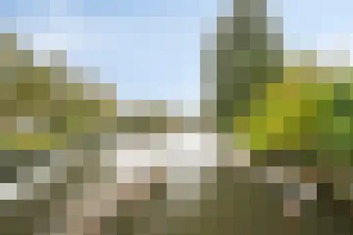 De Kwekerij 49 Maarssen thumbnail 35