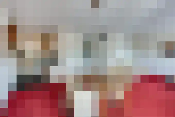 de Kwekerij 52 Baarn thumbnail 12