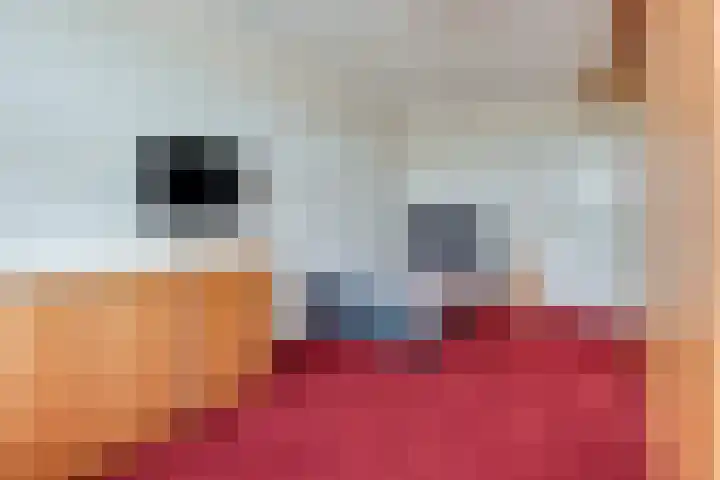 de Kwekerij 52 Baarn thumbnail 16