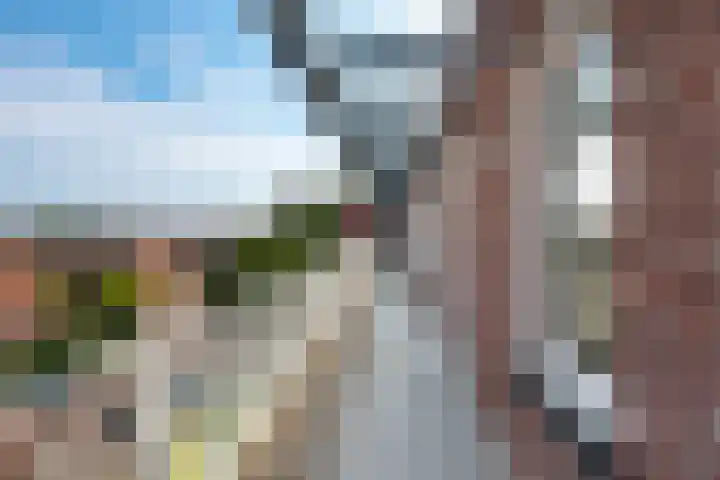 de Kwekerij 52 Baarn thumbnail 22