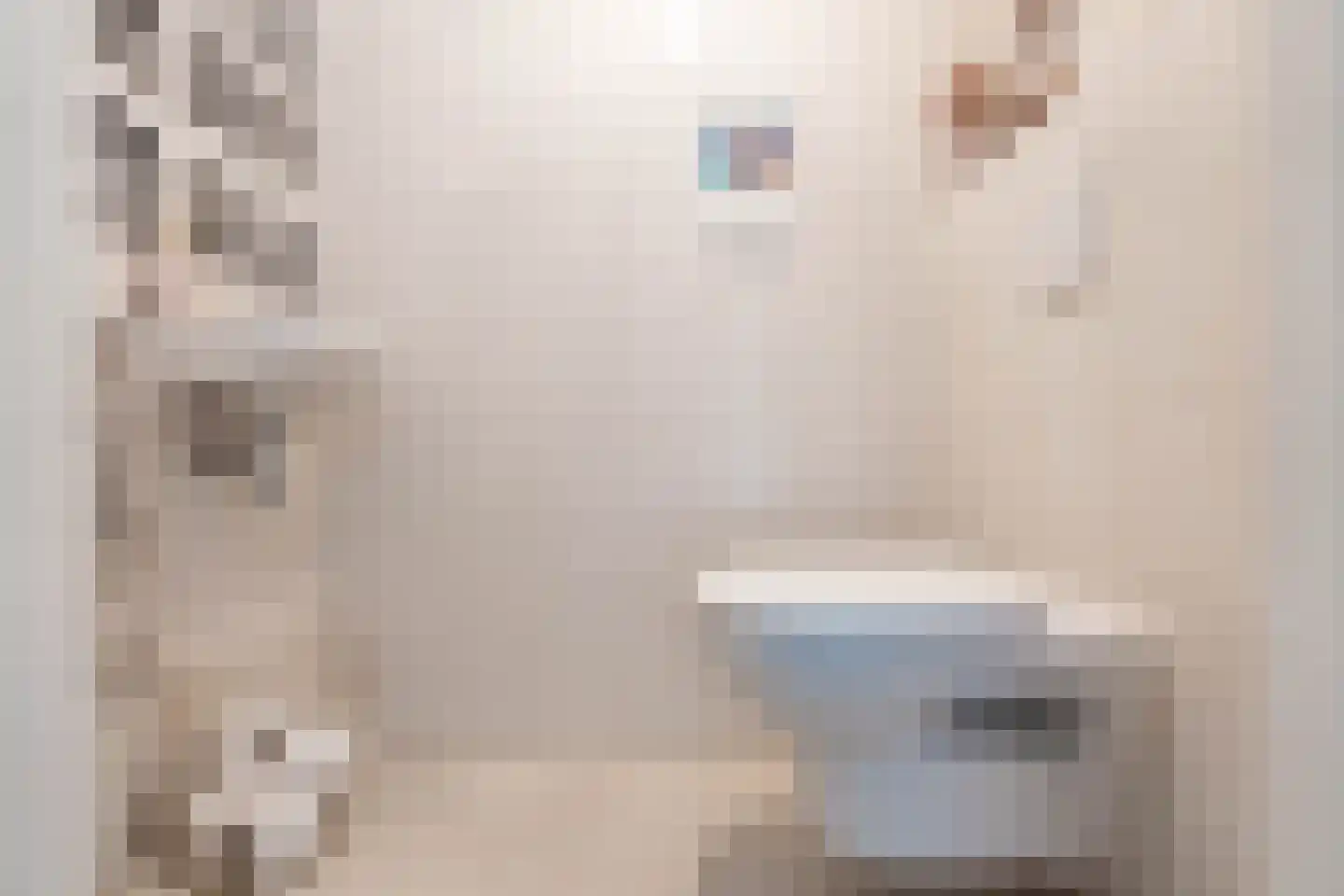 De Kwekerij 6 Koudekerk aan den Rijn thumbnail 11