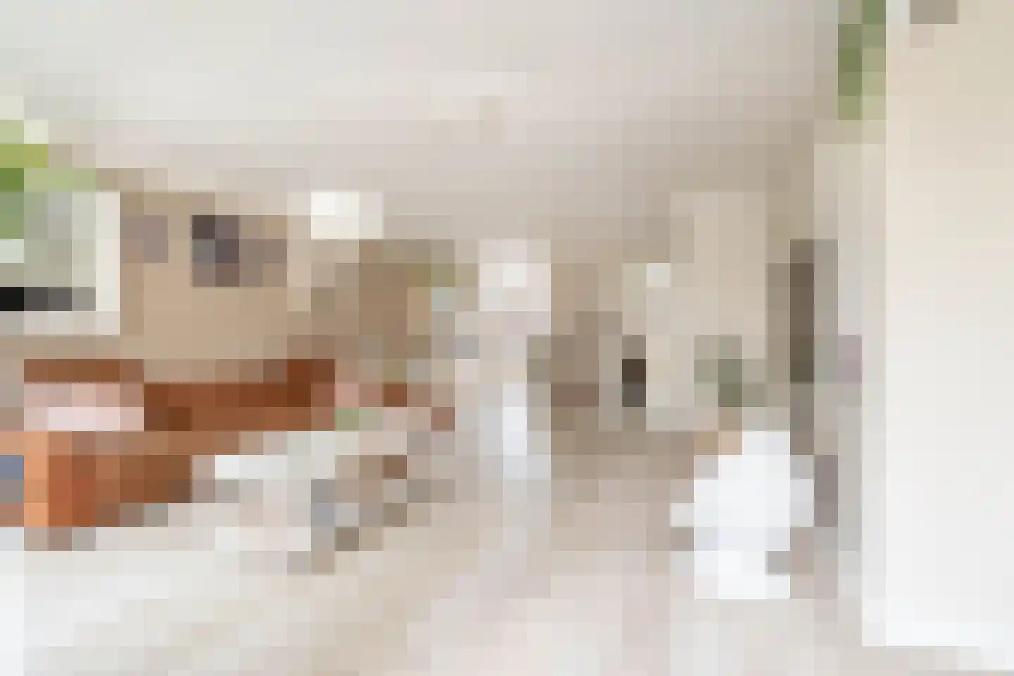 De Kwekerij 6 Koudekerk aan den Rijn thumbnail 16