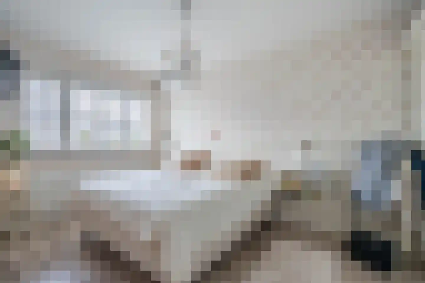 De Kwekerij 6 Koudekerk aan den Rijn thumbnail 4