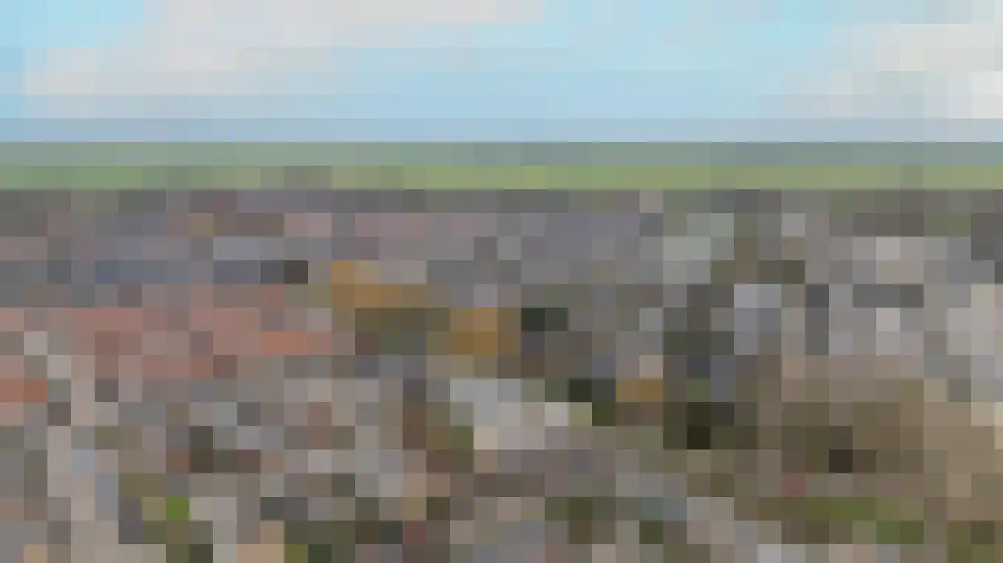 De Kwekerij 6 Koudekerk aan den Rijn thumbnail 44