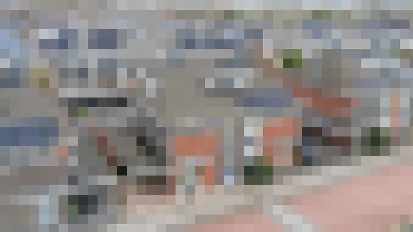 De Kwekerij 6 Koudekerk aan den Rijn thumbnail 6